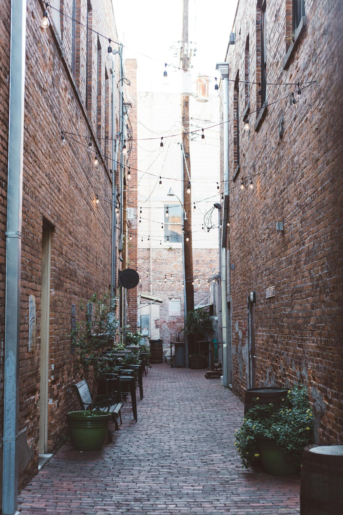 Brick courtyard with string lights — Carriage Collective